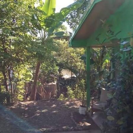 Willa Casa Flor De Annia ~ Cozy 2 Bdrm On The River Sierpe ~ Walkable To Town Zewnętrze zdjęcie