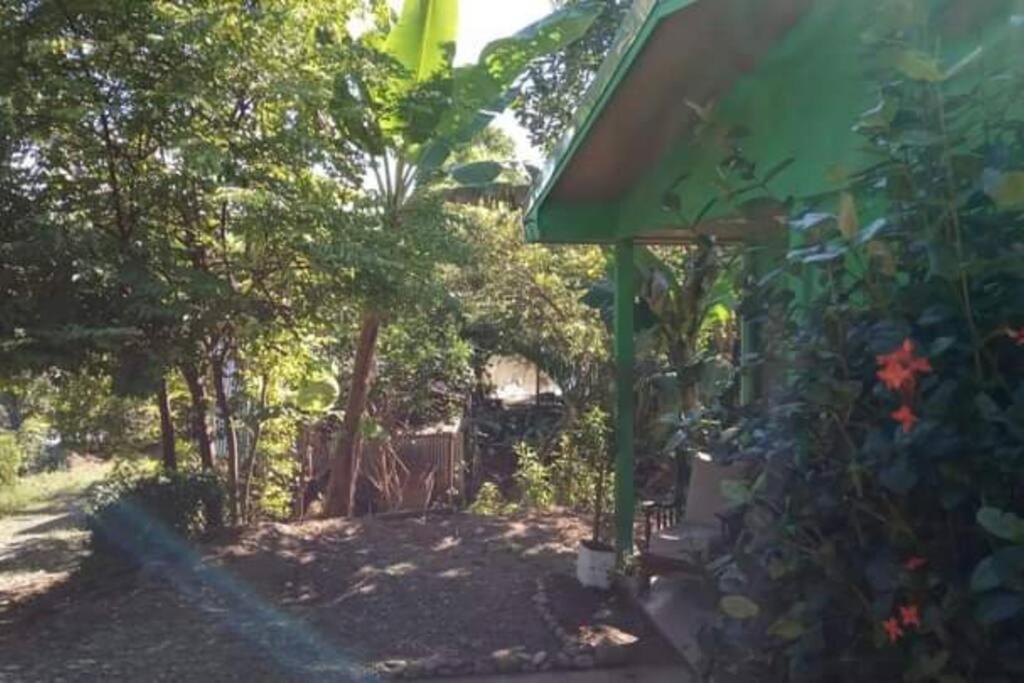 Willa Casa Flor De Annia ~ Cozy 2 Bdrm On The River Sierpe ~ Walkable To Town Zewnętrze zdjęcie