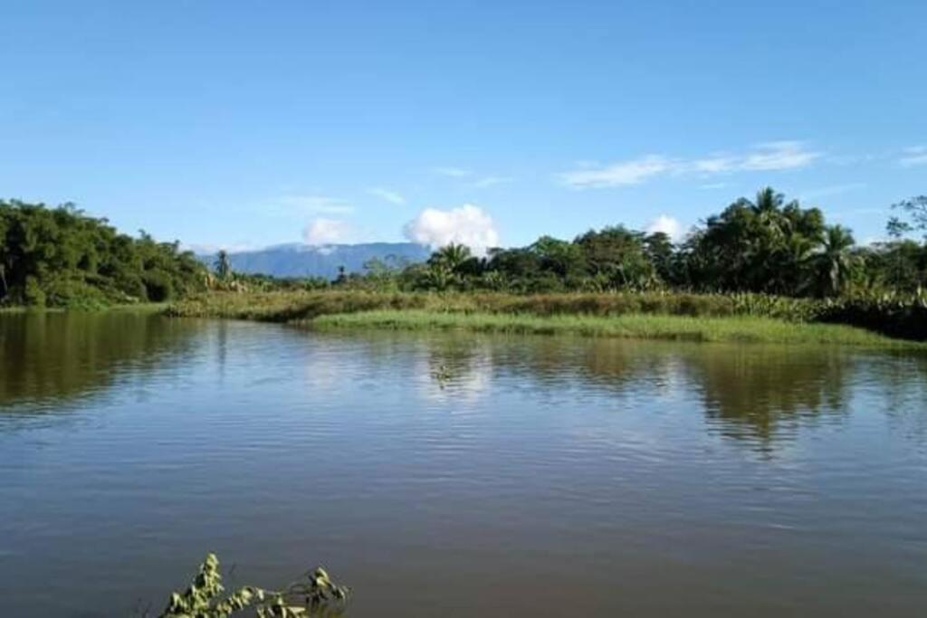 Willa Casa Flor De Annia ~ Cozy 2 Bdrm On The River Sierpe ~ Walkable To Town Zewnętrze zdjęcie