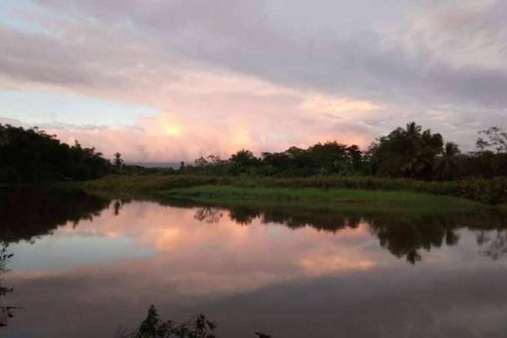 Willa Casa Flor De Annia ~ Cozy 2 Bdrm On The River Sierpe ~ Walkable To Town Zewnętrze zdjęcie