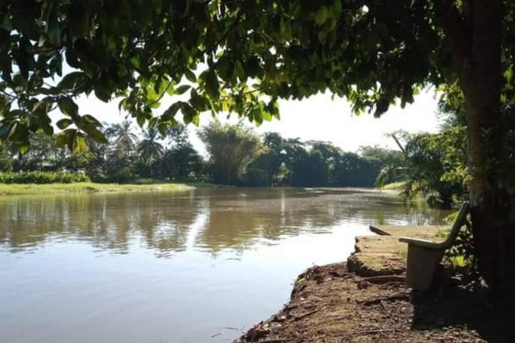 Willa Casa Flor De Annia ~ Cozy 2 Bdrm On The River Sierpe ~ Walkable To Town Zewnętrze zdjęcie