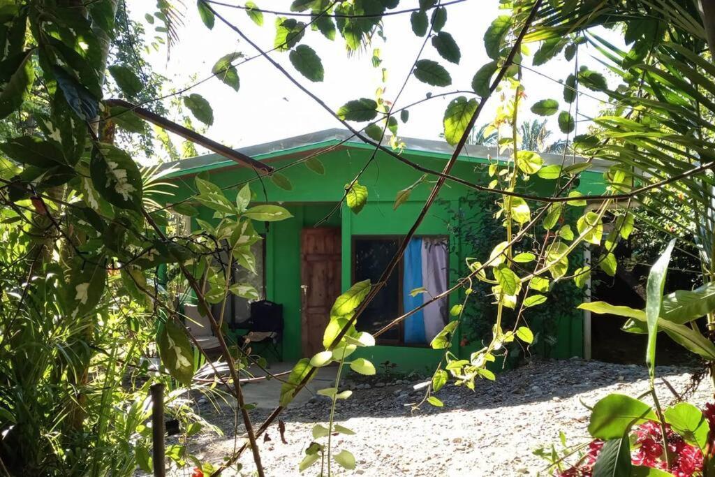 Willa Casa Flor De Annia ~ Cozy 2 Bdrm On The River Sierpe ~ Walkable To Town Zewnętrze zdjęcie