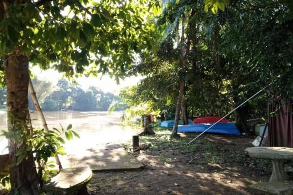 Willa Casa Flor De Annia ~ Cozy 2 Bdrm On The River Sierpe ~ Walkable To Town Zewnętrze zdjęcie